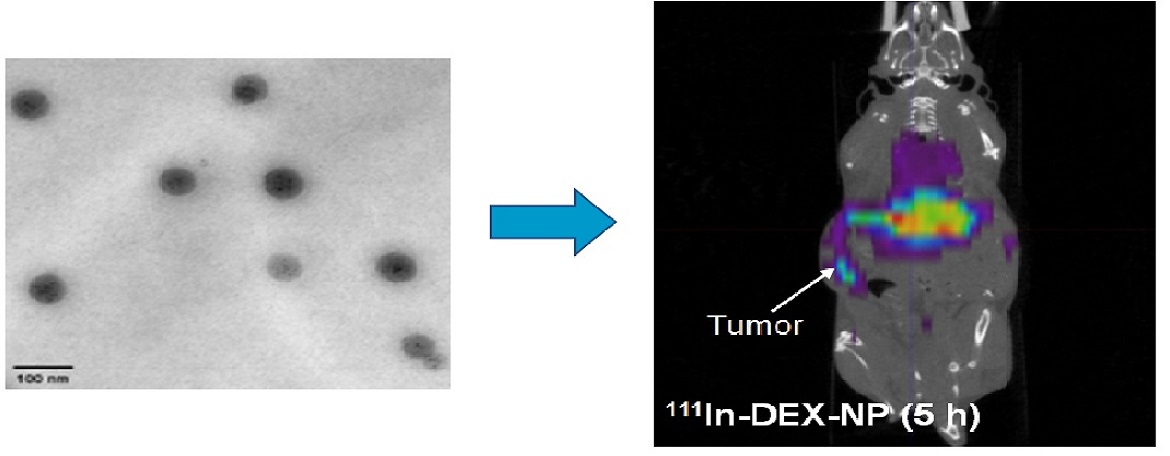 Bioresponsive Theranostic Nanovectors for Improving Drug Therapeutic Ratios