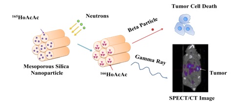 MSN 2